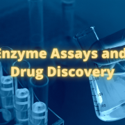 Enzyme Assays and Drug Discovery
