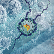 VPS4B Inhibitor Screening Assay