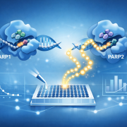 PARP2 Inhibitors for HTS Drug Discovery