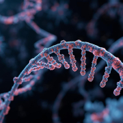 The Role of Helicases in DNA Repair and Drug Discovery